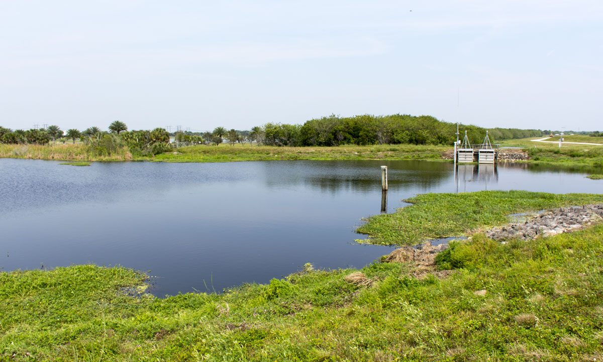 Fort Drum Marsh Conservation Area