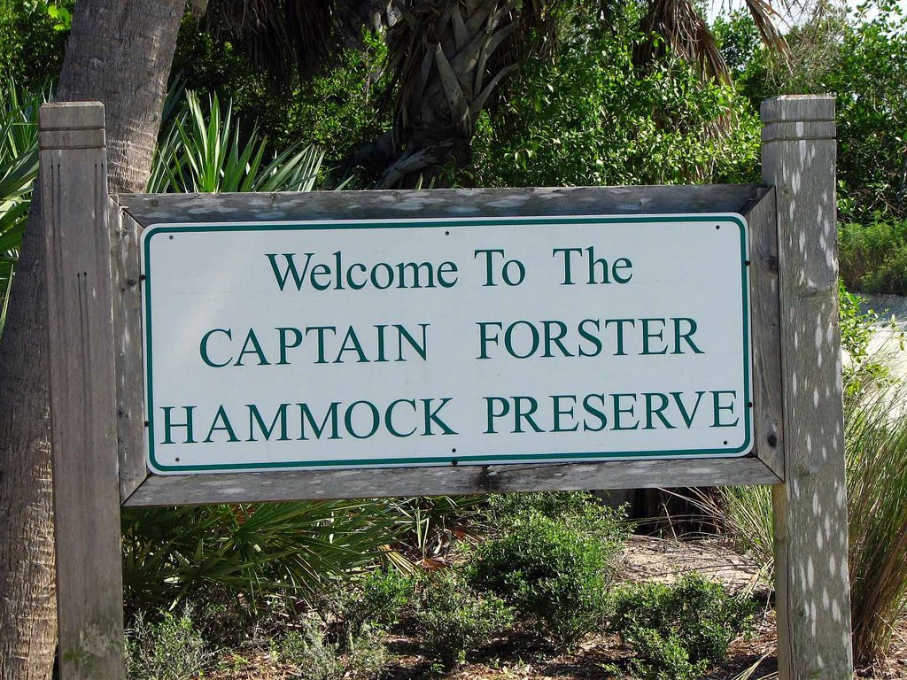 Captain Forster Hammock Preserve