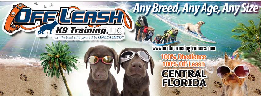 Off Leash K9 Training Central Florida