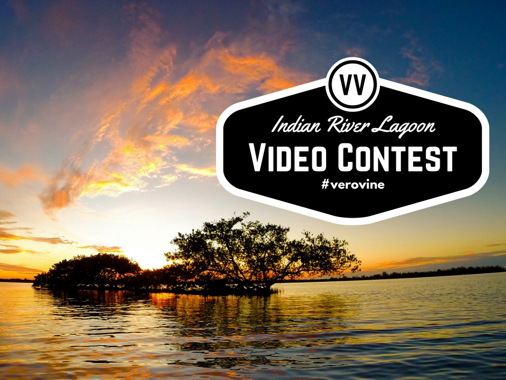 Indian River Lagoon Video Contest