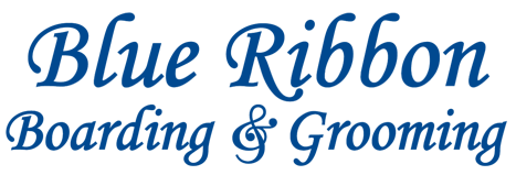 Blue Ribbon Boarding & Grooming